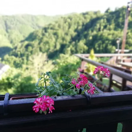 Rodopsko Katche Guest house 3*